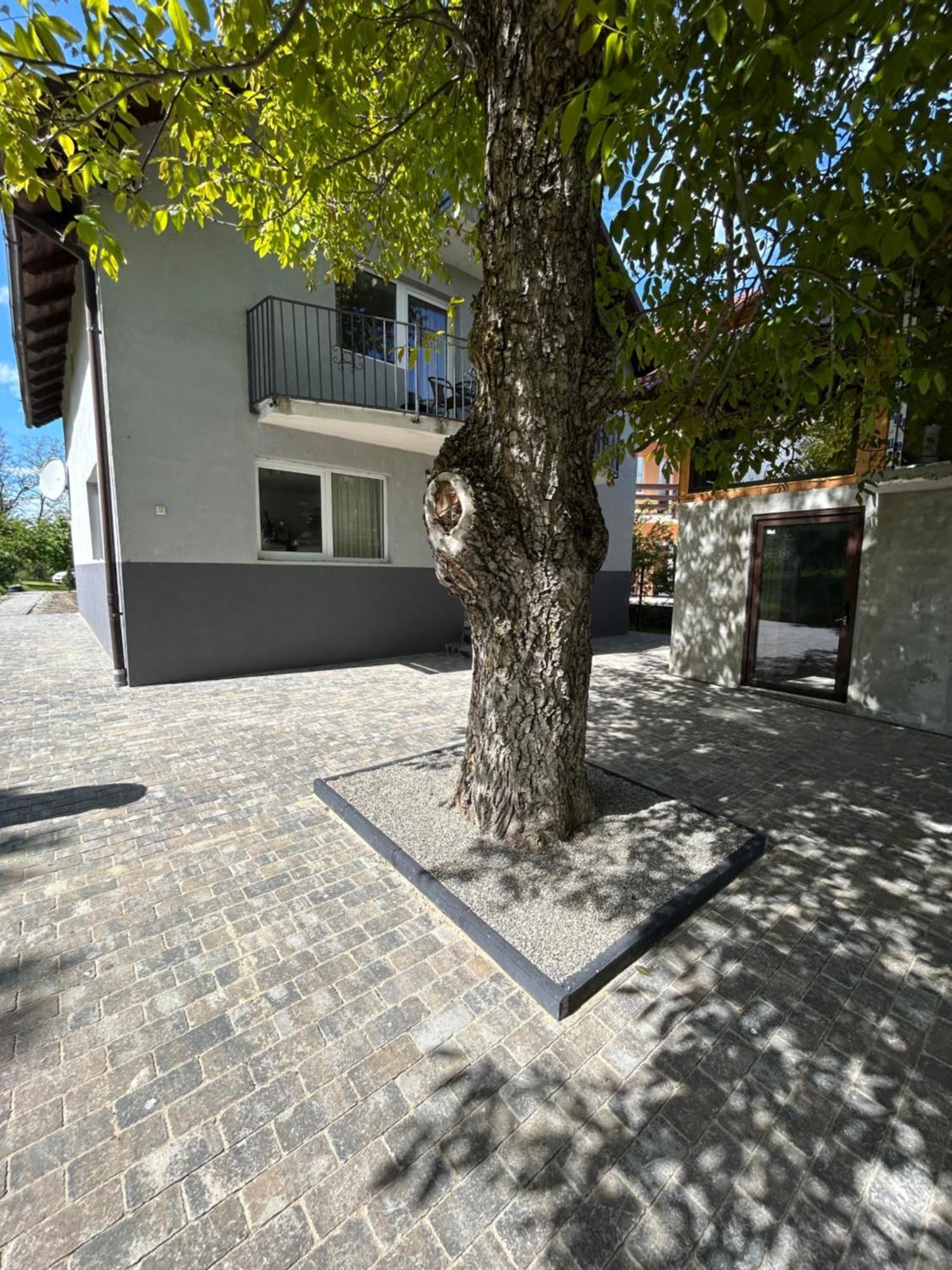 ブラン Casa Luca Ama Branヴィラ エクステリア 写真